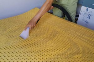 Cách Giặt Nệm Kim Đan Tại Nhà Vệ Sinh 2S