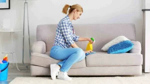 Cách Vệ Sinh Sofa Nỉ Nhanh Chóng
